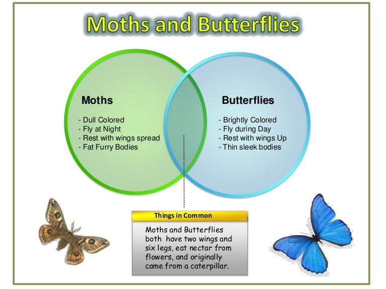 Slide 4 Set Venn Diagram Best Electrical Circuit Wiring Diagram